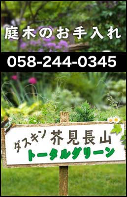 お庭や庭木の管理ならダスキン芥見長山トータルグリーンにお任せください。